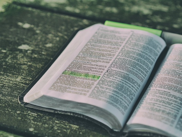 bible-1868359_640