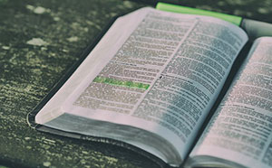 bible